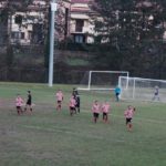 Grevigiana Rondinella IMG_6720