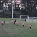 Grevigiana Rondinella IMG_6721