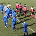 Rondinella Settignanese P1010601