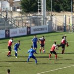 Rondinella Settignanese P1010606