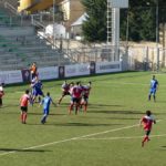 Rondinella Settignanese P1010607