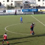 Rondinella Settignanese P1010608