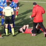 Rondinella Settignanese P1010610