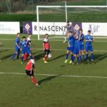 Rondinella Settignanese P1010611