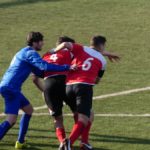 Rondinella Settignanese P1010612