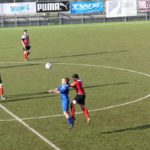 Rondinella Settignanese P1010613