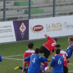 Rondinella Settignanese P1010615