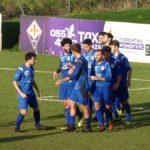 Rondinella Settignanese P1010617