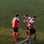 Rondinella Settignanese P1010620