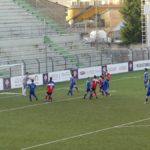 Rondinella Settignanese P1010621