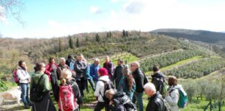 La campagna di Fonterutoli: domenica 23 febbraio con le Vie del Chianti in un mondo da sogno