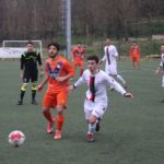 settignanese barberino IMG_6781