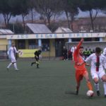 settignanese barberino IMG_6805