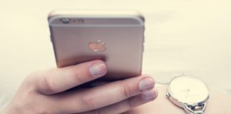 Sporteams e la sfida della professionalizzazione nello sport dilettantistico