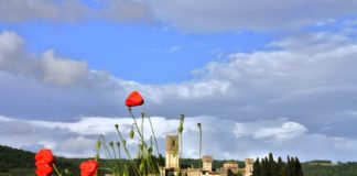 Artistica Tavarnelle, attività sospese. “Ma domenica organizziamo una bella passeggiata”