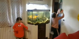 VIDEO / Pallavolo Impruneta: #ioresto a casa… “Schiacciamo il Virus”