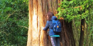 “Camminare in Toscana”… stando a casa: “Solo camminando si capisce la bellezza del pianeta”