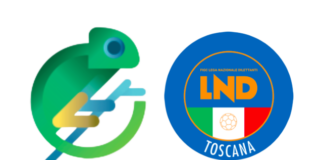 Lo sport riparte post Covid-19, webinar domani con Sporteams e Lega Nazionale Dilettanti