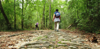 “Camminare in Toscana”. Le meravigliose colline de La Romola: natura, storia e sorprese
