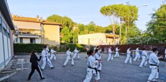 La prima società sportiva grevigiana è ripartita con gli allenamenti: avanti Tzubame!