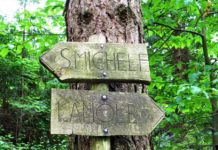 “Camminare in Toscana”: sul Monte San Michele, la montagna del Chianti