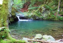 “Camminare in Toscana”: Acquerino, un bagno nel torrente Limentra e il fresco della foresta