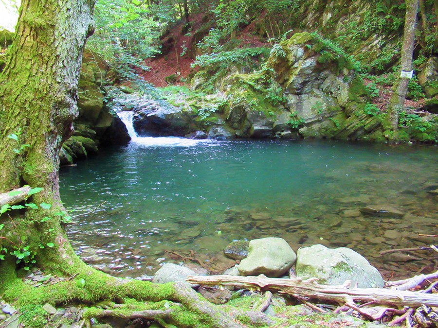 Camminare in Toscana": Acquerino, un bagno nel torrente Limentra e il  fresco della foresta - SportChianti