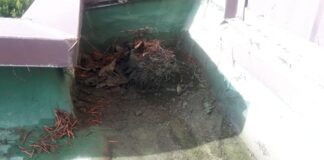 Pioggia nel Palazzetto di Impruneta, sindaco Calamandrei a muso duro: “Responsabile chi gestisce l’impianto”