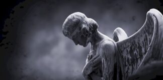 Il Bisonte dice addio a Giuliano Lisi, storico coach della promozione dalla Serie B1 alla Serie A2