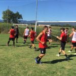 Settignanese Sagginale 4