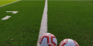 Serie D, si prosegue il campionato. 95 società favorevoli, 43 volevano lo stop