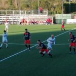 Grassina Sinalunghese IMG_20201129_154242