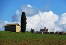 “Camminare in Toscana”: meraviglie e colori intorno alla Certosa di Pontignano. Natura, storia e pace