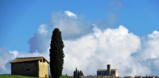 “Camminare in Toscana”: meraviglie e colori intorno alla Certosa di Pontignano. Natura, storia e pace