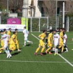 Grassina Pianese P1020322