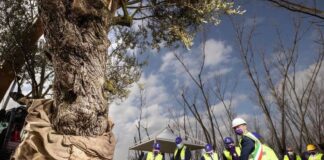 Viola Park a Bagno a Ripoli, avviato il cantiere. Alla presenza di Rocco Commisso