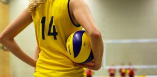 Federazione Italiana Pallavolo: si rinnovano i Comitati Territoriali e Regionale