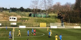 Serie D 2021/22, cresce il numero delle squadre toscane. Possibili 19 iscritte