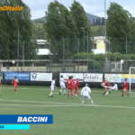 Baccini Grassina Scandicci