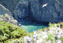 Camminare in Toscana: Gorgona, un piccolo mondo da conoscere