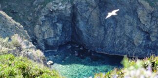 Camminare in Toscana: Gorgona, un piccolo mondo da conoscere