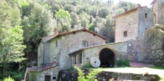 Camminare in Toscana. Meraviglie lungo la Greve: mulini, case da fiaba e un po’ di Gioconda