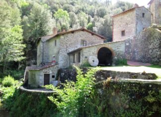 Camminare in Toscana lungo la Greve04