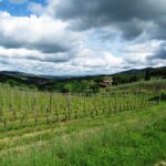 Camminare in Toscana lungo la Greve05