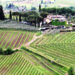 Camminare in Toscana lungo la Greve07