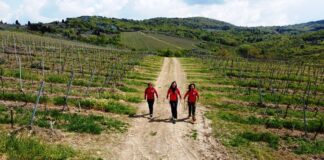 Camminare con i bastoncini: ripartono le uscite di Nordic Walking con Silvia Del Carmine
