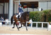 La Scuola di Equitazione Micheletto alla Coppa Toscana e Progetto Sport Dressage