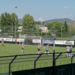 grassina trestina 2