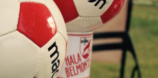 Giovani Grassina Belmonte, Pierluigi Puccinetti si dimette: al suo posto Daniele Lombardi