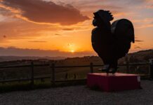 “Camminare in Toscana”: Panzano e la Conca d’Oro, immersi nei colori e nella poesia dell’autunno